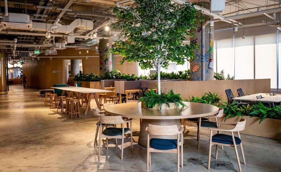 Coworking Space có thiết kế không gian xanh và lấy ánh sáng