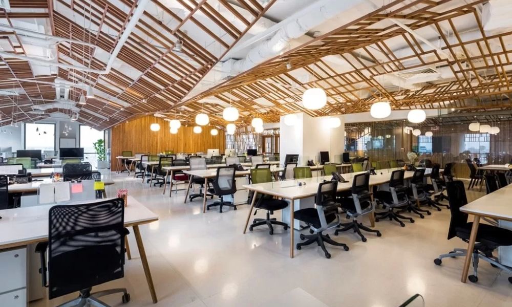 Công thái học tổ chức