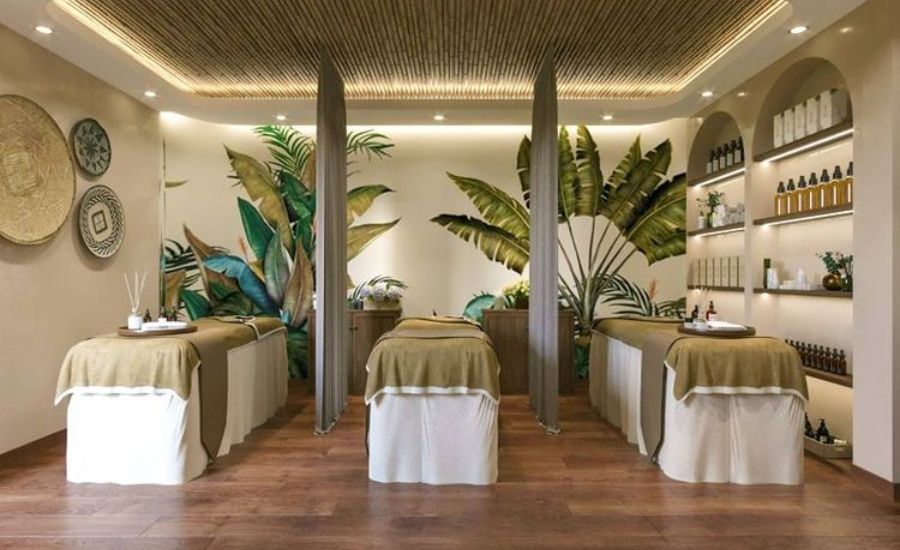 Mẫu thiết kế spa Organic