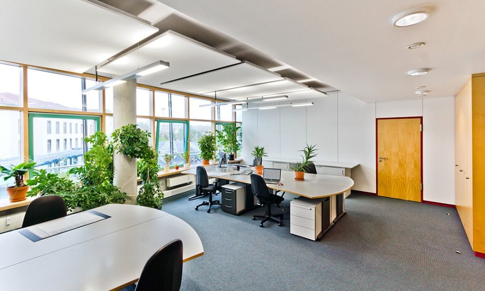 Phong cách thiết kế văn phòng xanh