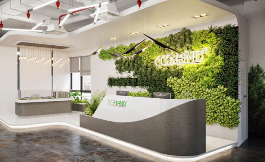 Thiết kế văn phòng tư vấn du học phong cách xanh bền vững