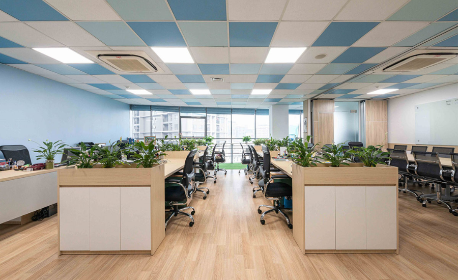 Thêm yếu tố tự nhiên vào văn phòng