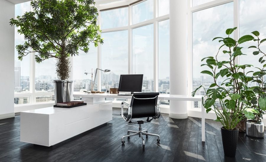 thiết kế nội thất eco