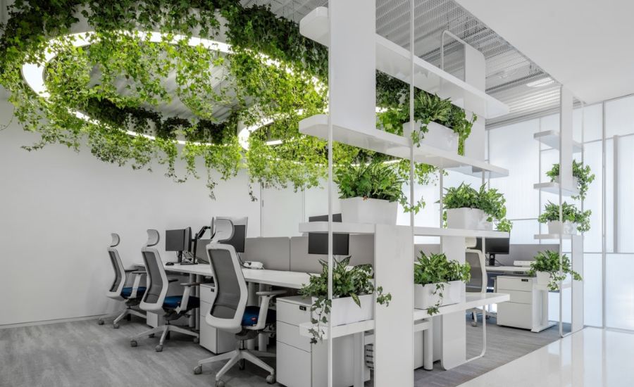 thiết kế nội thất eco