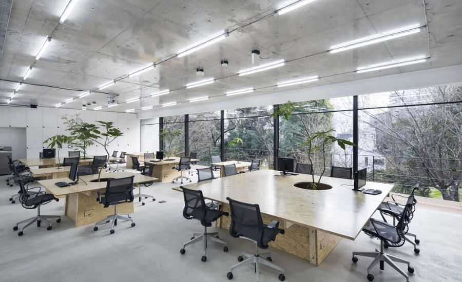 Tận dụng ánh sáng tự nhiên