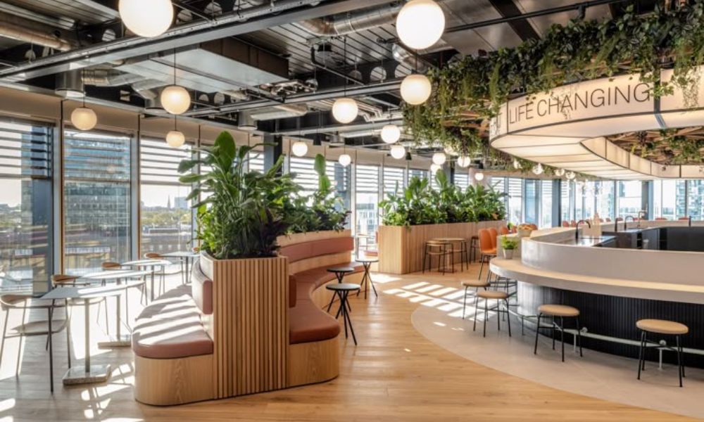Ý tưởng thiết kế văn phòng xanh