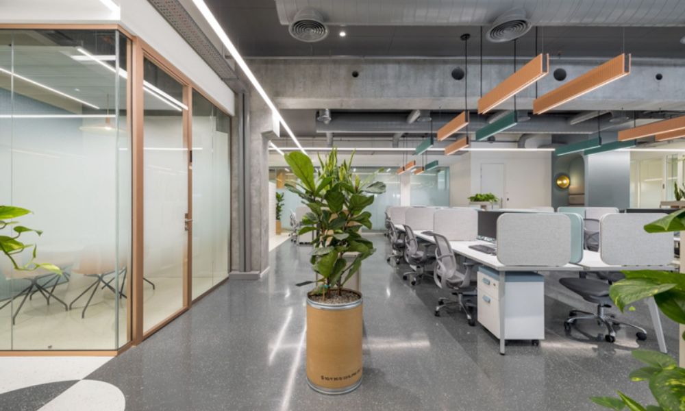 Mẫu thiết kế văn phòng không gian xanh