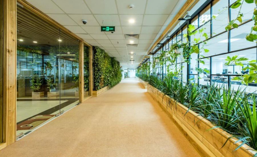 thiết kế thi công nội thất văn phòng trọn gói