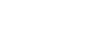 NIPPON PAINT